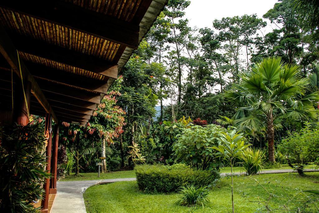 Catarata Eco Lodge La Fortuna Bagian luar foto