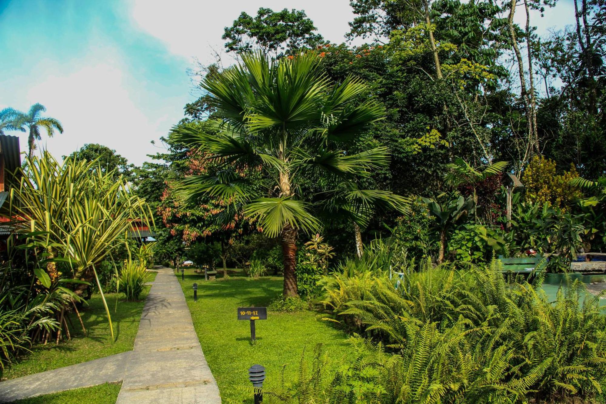 Catarata Eco Lodge La Fortuna Ruang foto