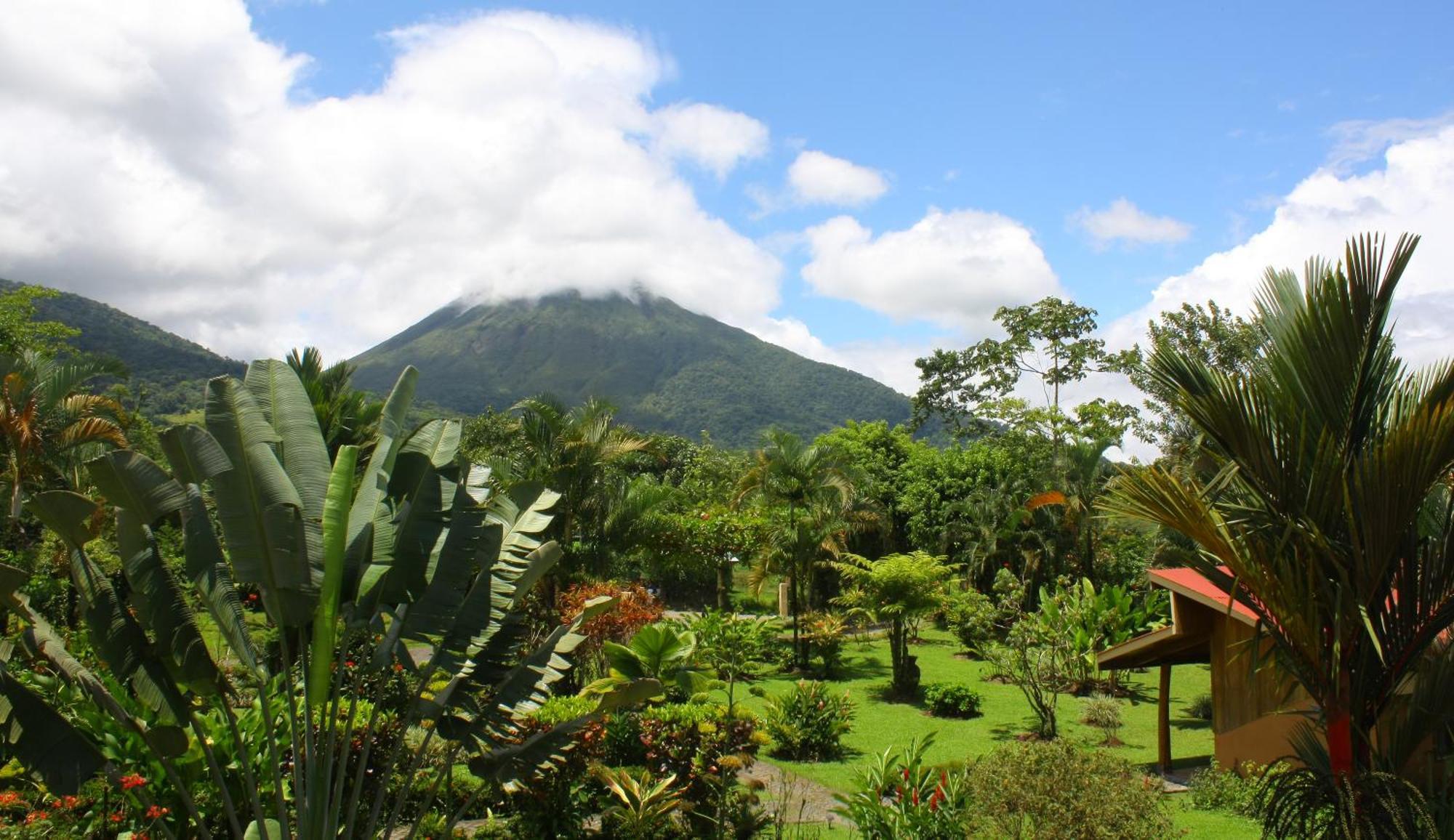 Catarata Eco Lodge La Fortuna Bagian luar foto