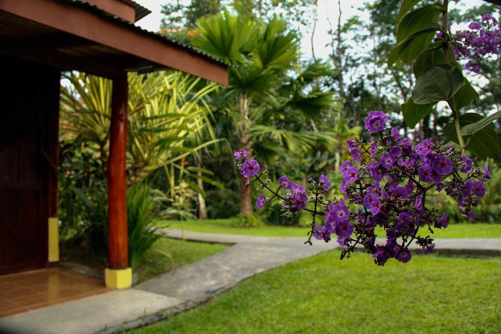 Catarata Eco Lodge La Fortuna Bagian luar foto