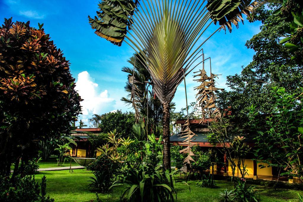 Catarata Eco Lodge La Fortuna Bagian luar foto